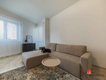 Pet-friendly 2,5i byt s výmerou 70m2, Šancová - Nové Mesto
