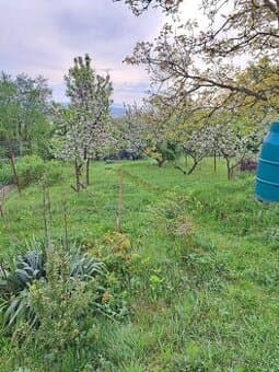 Zahradka na prenajom na Zapade-Stráže